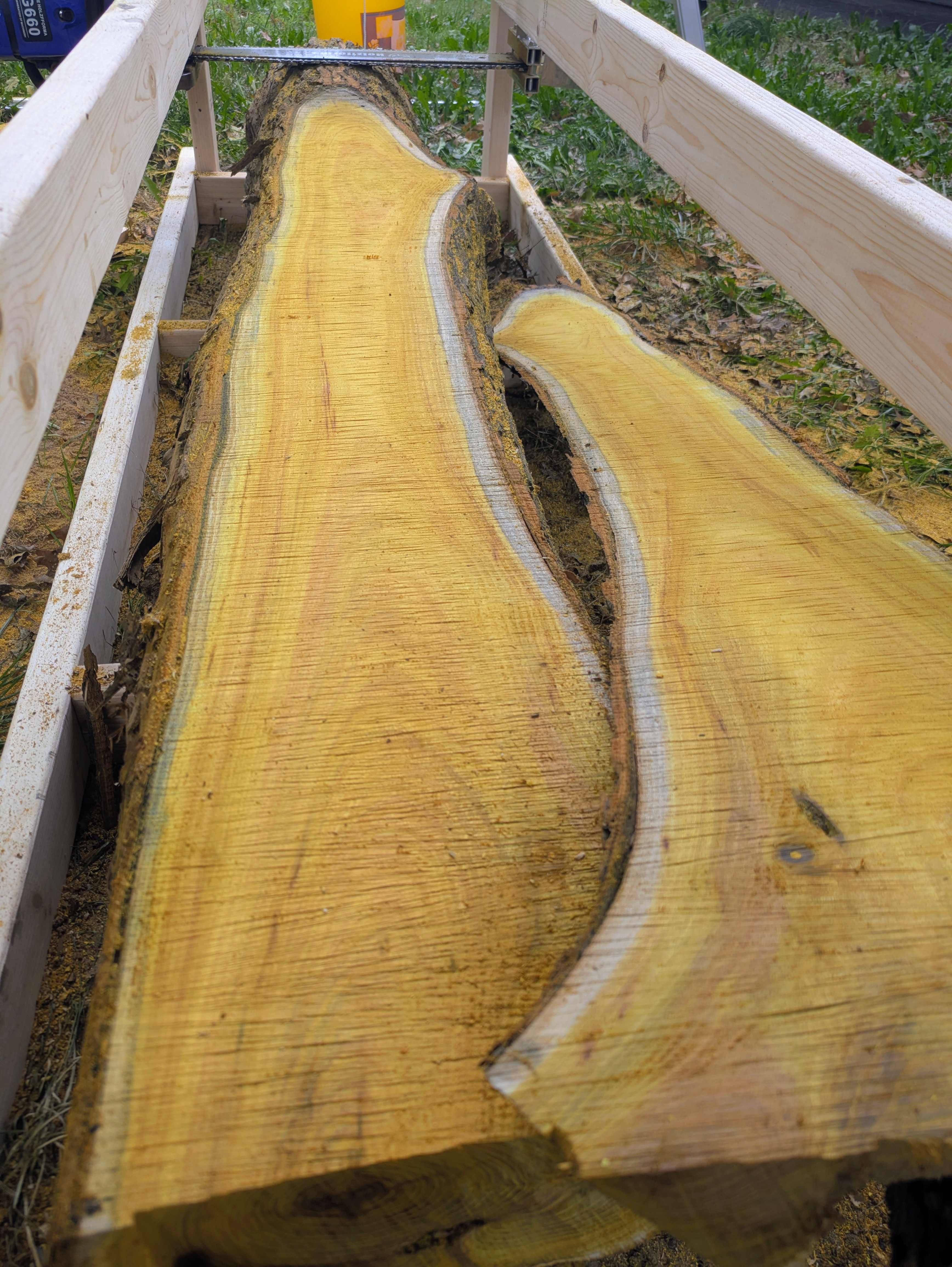 Close look at the Osage